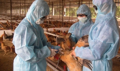 Vẫn còn những khoảng trống trong phối hợp liên ngành phòng chống dịch bệnh