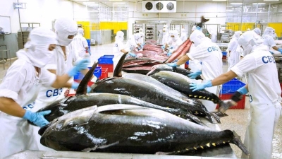 Middle East conflicts could disrupt Vietnam's tuna exports to Israel