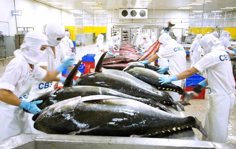 Middle East conflicts could disrupt Vietnam's tuna exports to Israel