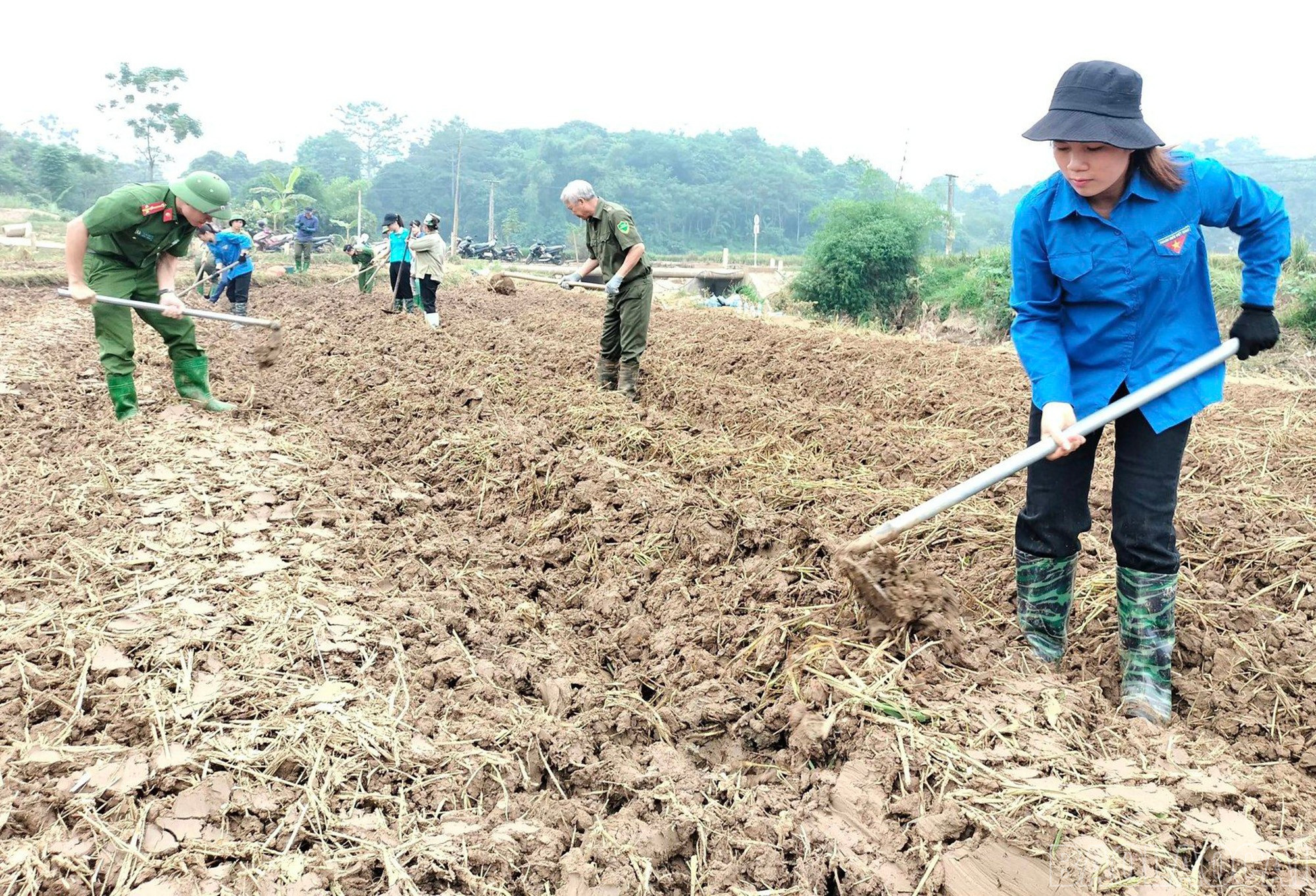 Thủ tướng giao Bộ Nông nghiệp và Phát triển nông thôn cử chuyên gia, cán bộ khuyến nông trực tiếp hướng dẫn người dân khôi phục sản xuất.