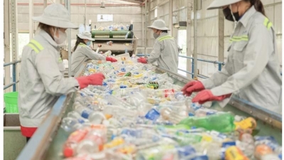 PRO Vietnam pledges to recycle 64,000 tons of packaging materials in 2024