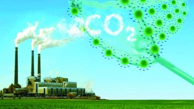 Challenges for Vietnam’s exports to EU