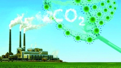 Challenges for Vietnam’s exports to EU