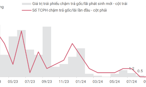 Tháng 9/2024, không ghi nhận trường hợp trái phiếu doanh nghiệp chậm trả mới