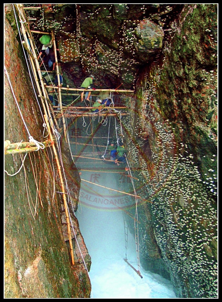 Khai thác yến sào tại các đảo yến Khánh Hòa.