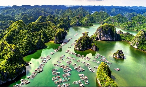 Hải Phòng thành lập Ban chỉ đạo Quản lý di sản thiên nhiên thế giới vịnh Hạ Long – quần đảo Cát Bà