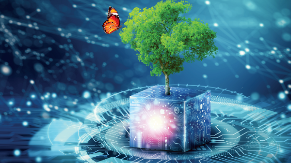 Thách thức trong chuyển đổi kép: Bài học từ thực tiễn doanh nghiệp