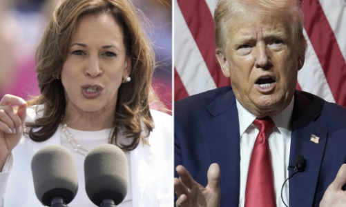 Bà Harris vượt ông Trump trong cuộc đua tài chính tranh cử