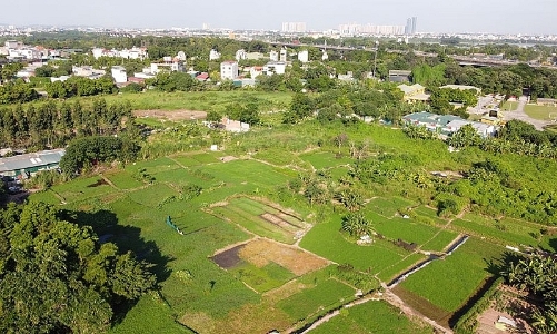 Đà Nẵng ban hành quy định mới về bồi thường khi bị thu hồi đất