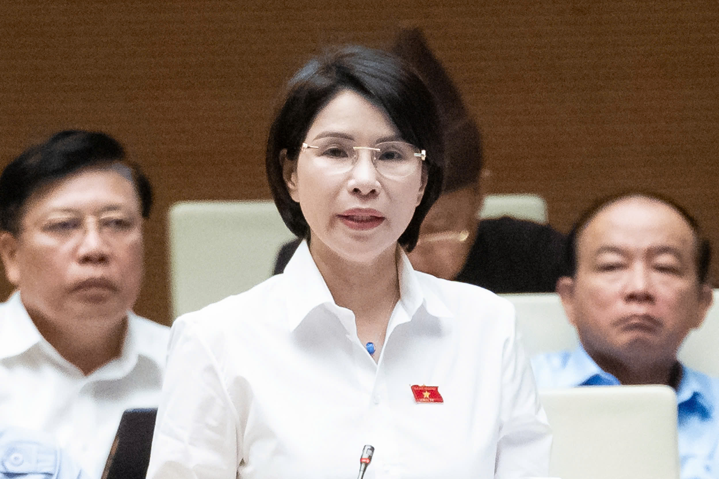 Đại biểu Trần Thị Nhị Hà, đoàn Hà Nội: 