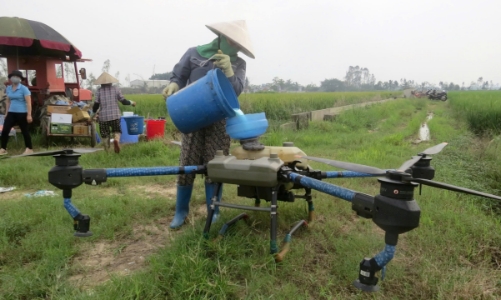 Hải Phòng cho cơ sở sản xuất OCOP vay vốn ưu đãi