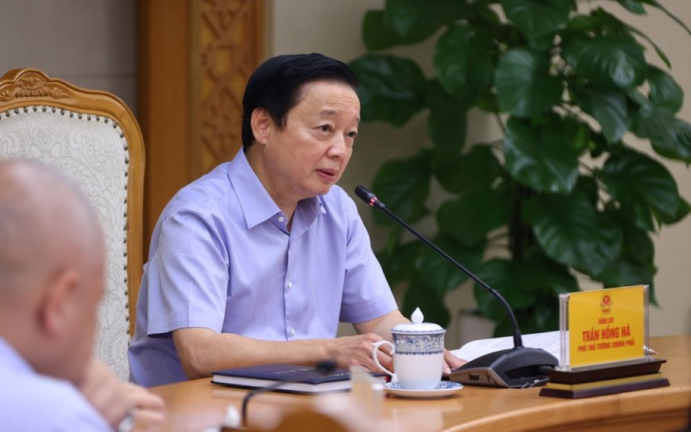 Ph&oacute; Thủ tướng Trần Hồng H&agrave;: 