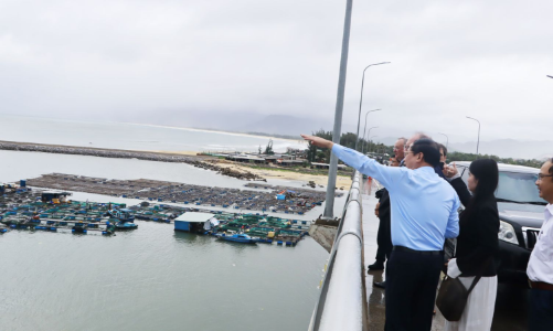 Tập đoàn năng lượng Đức nghiên cứu, muốn đầu tư làm dự án điện gió ngoài khơi 4,6 tỷ USD ở Bình Định