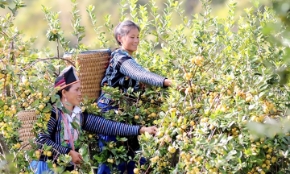 Đầu tư tác động là một phương thức sáng tạo để thúc đẩy đóng góp của khu vực tư nhân vào sự phát triển bền vững. Ảnh minh họa