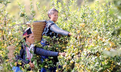 Việt Nam dẫn đầu ASEAN về Chỉ số Đầu tư Tác động