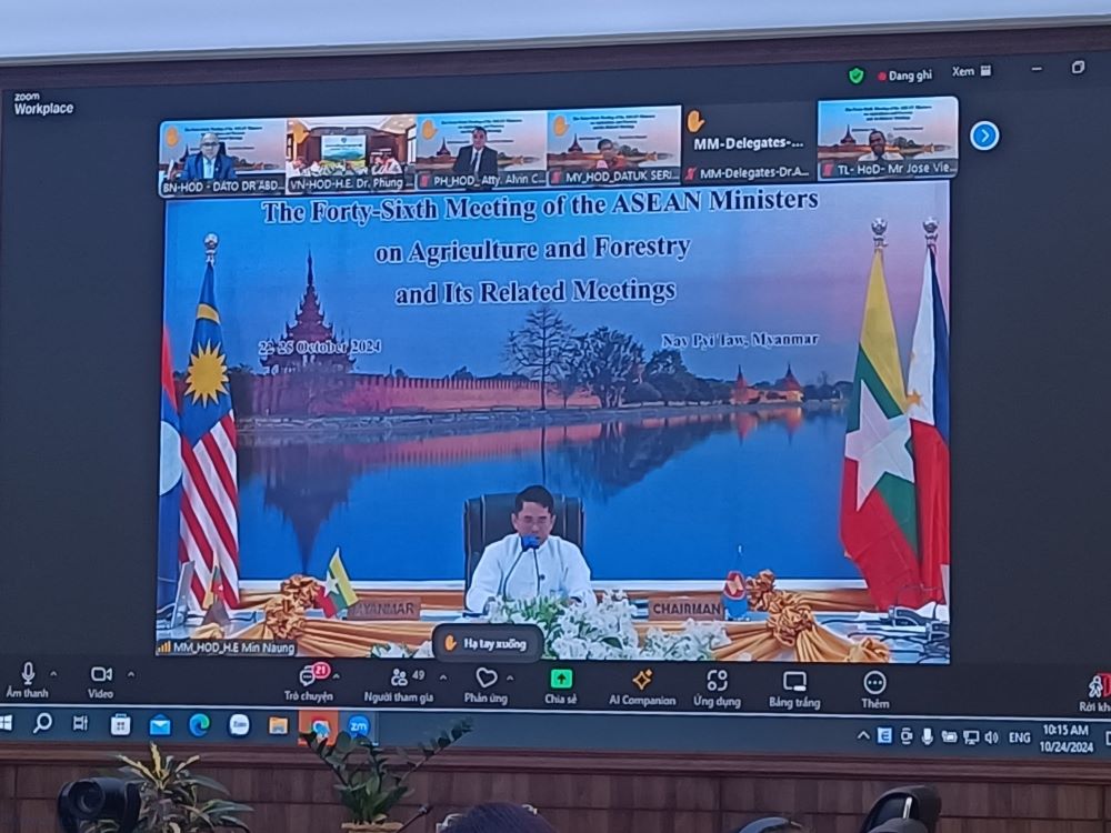 Hội nghị diễn ra theo hình thức trực tuyến.