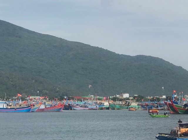 Âu thuyền Thọ Quang  với sức chứa lớn là nơi trú ẩn an toàn của các phương tiện trên biển. Ảnh Ngô Anh Văn