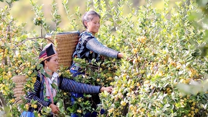 Vietnam leads ASEAN in impact investment with an Orange Index score of 50