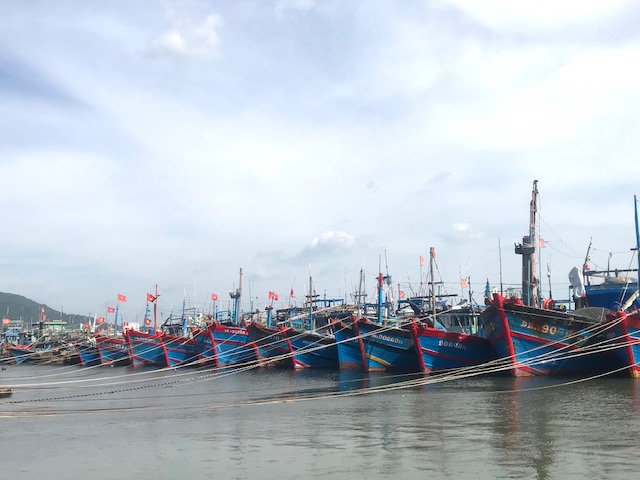 T&agrave;u c&aacute; của ngư d&acirc;n đ&atilde; neo đậu chắc chắn tại &Acirc;u thuyền Thọ Quang. Ảnh Ng&ocirc; Anh Văn