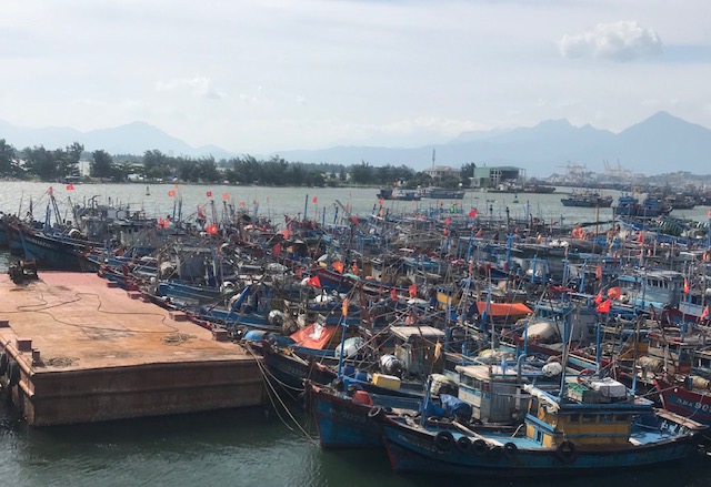 H&agrave;ng trăm t&agrave;u c&aacute; của ngư d&acirc;n đ&atilde; neo đậu chắc chắn tại vịnh M&acirc;n Quang. Ảnh Ng&ocirc; Anh Văn