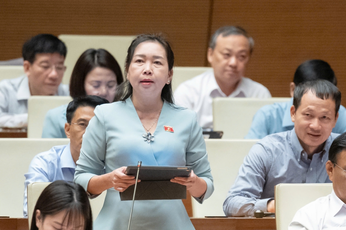 Đại biểu L&yacute; Tiết Hạnh, đo&agrave;n B&igrave;nh Định, n&ecirc;u &yacute; kiến.