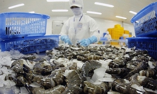 Hoa Kỳ kết luận việc điều tra chống trợ cấp với tôm nước ấm đông lạnh nhập khẩu từ Việt Nam 