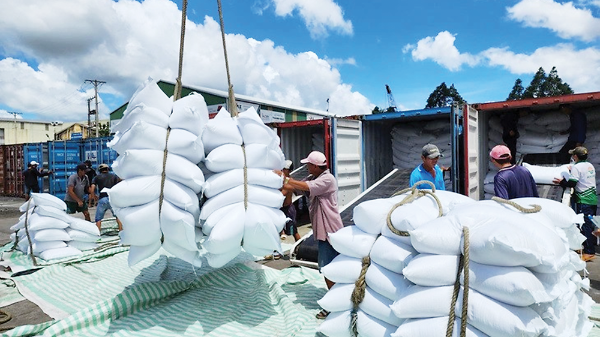 Ấn Độ dỡ bỏ lệnh cấm xuất khẩu gạo và những tác động 