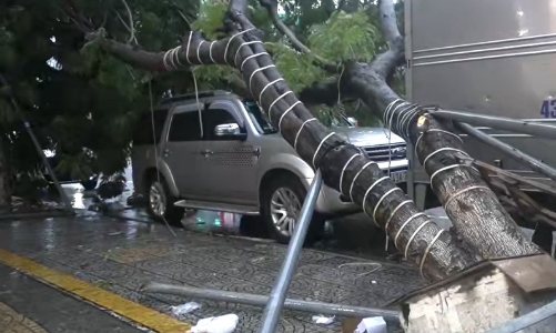 Bão Trà Mi đổ bộ vào Quảng Nam, Đà Nẵng