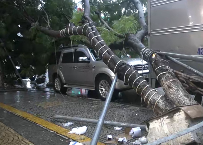 Bão số 6 vào Đà Nẵng làm đổ cây đè lên ô tô trên đường.