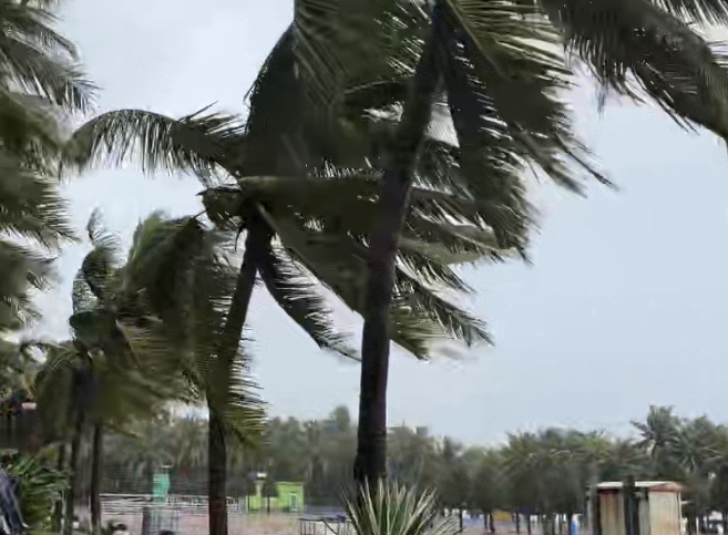 B&atilde;o số 6 quần thảo C&ocirc;ng vi&ecirc;n biển Đ&ocirc;ng, Đ&agrave; Nẵng.