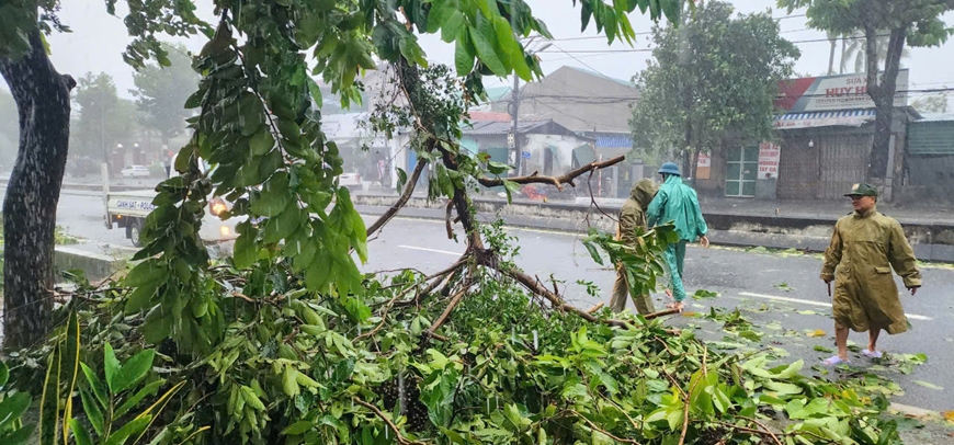 Nhiều c&acirc;y xanh ở th&agrave;nh phố Huế bị ng&atilde;, đổ.