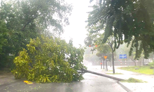 Bão Trà Mi đổ bộ, Thừa Thiên Huế khuyến cáo người dân không ra đường