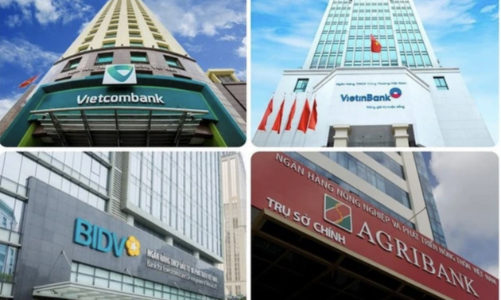 Đại biểu Quốc hội kiến nghị cho phép ngân hàng thương mại cổ phần Nhà nước chủ động tăng vốn điều lệ