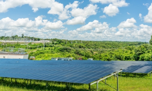 IEA: Việt Nam sẽ dẫn đầu thị trường năng lượng tái tạo Đông Nam Á 