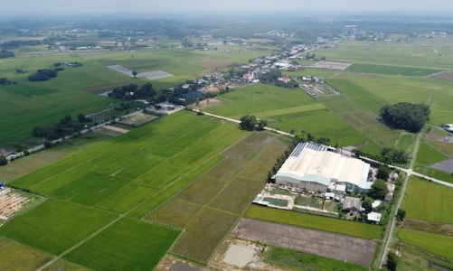 TP. Hồ Chí Minh cho phép xây dựng công trình phục vụ sản xuất nông nghiệp
