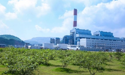 Shifting to green economy