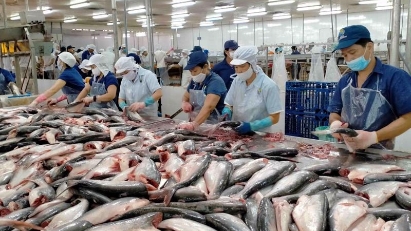 2024 tra fish export expected to reach $2 bln as targeted
