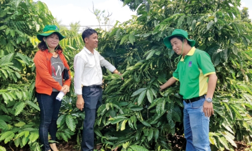 Áp thuế giá trị gia tăng phân bón 5% lợi ích thiết thực cho nông nghiệp, nông dân