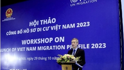 Over 475,000 foreign nationals granted work permits in 2017-2022 period