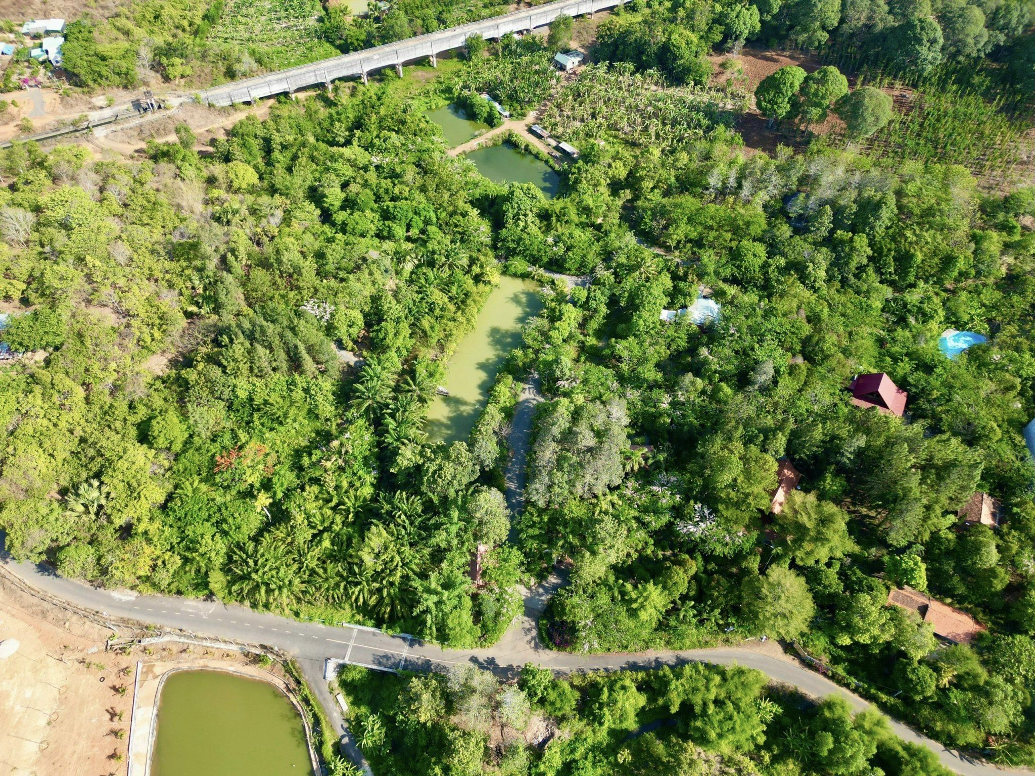 Tổng lượng CO2 lưu trữ trong cây và đất tại Suối Rao Ecolodge trong 6 năm qua là 1.558,86 tấn.