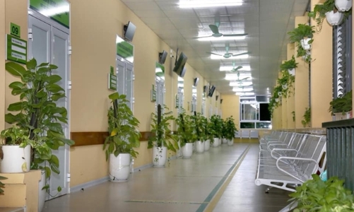 Xây dựng một hệ thống chăm sóc sức khỏe xanh, bền vững và chống chịu biến đổi khí hậu 