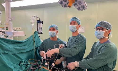 Làn sóng Việt kiều hồi hương khám chữa bệnh tại Việt Nam