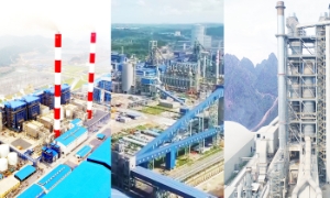 Tháng 6/2025: Việt Nam bắt đầu phân bổ hạn ngạch và thí điểm trao đổi hạn ngạch phát thải khí nhà kính
