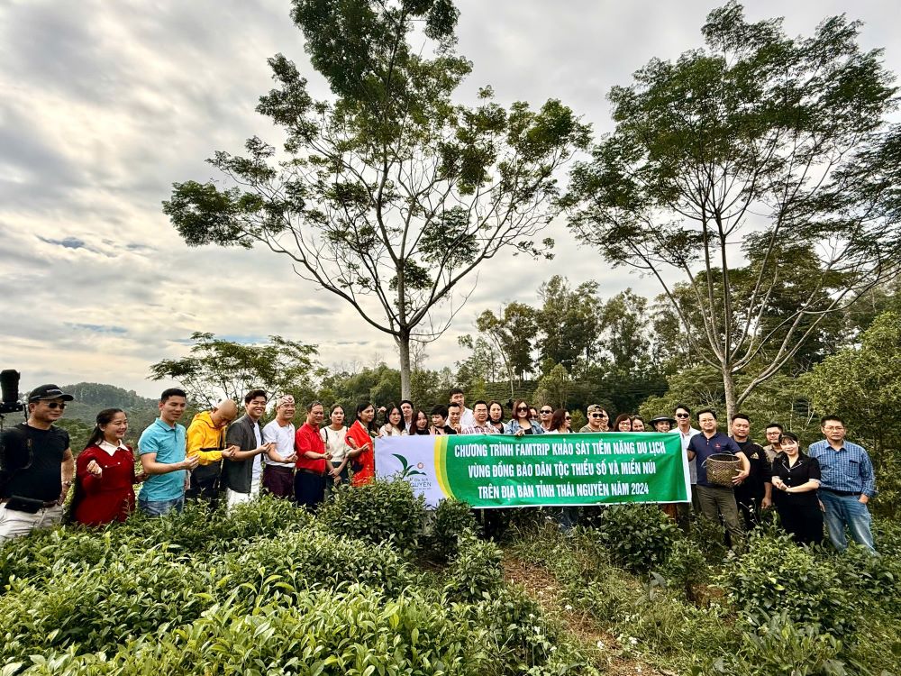 Đoàn Famtrip chụp ảnh lưu niệm trên một đồi chè ở Khe Cốc.