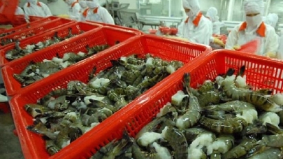 Vietnam’s shrimp industry faces challenges but eyes opportunities