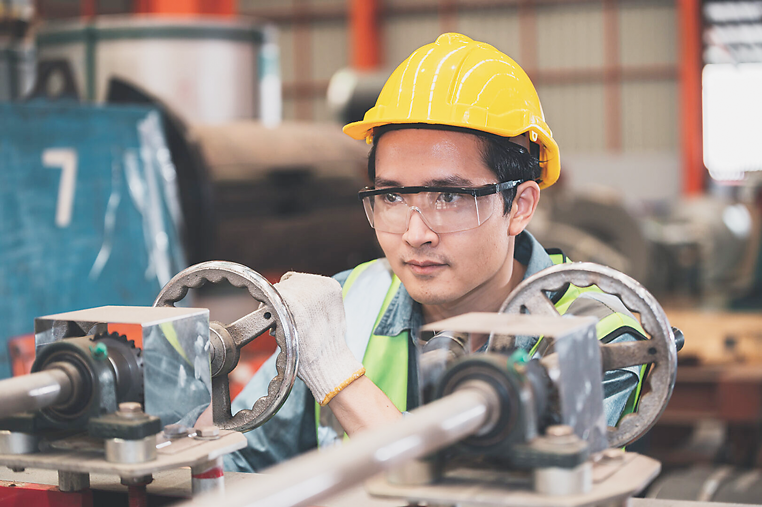 Dự b&aacute;o thị trường lao động trong những th&aacute;ng cuối năm 2024 sẽ tiếp tục tăng trưởng.