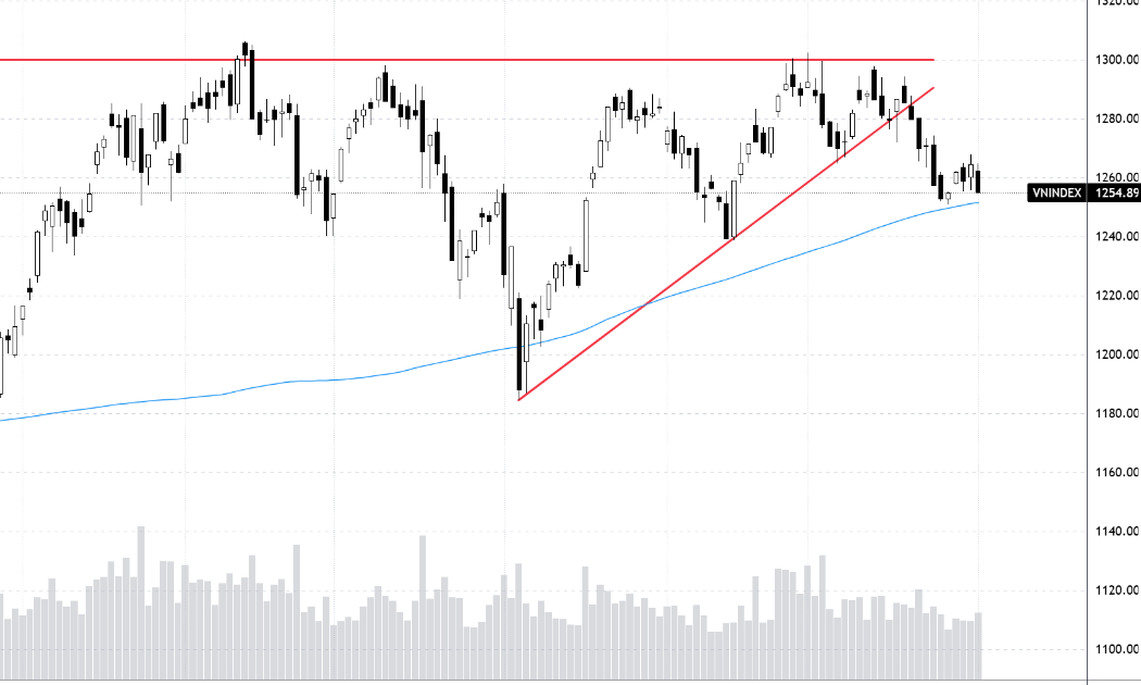Diễn biến chỉ số VN-Index và đường trung bình động 200 ngày (MA200).