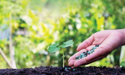 Xanh hóa sản xuất hóa chất và phân bón: Chờ những cú hích từ chính sách