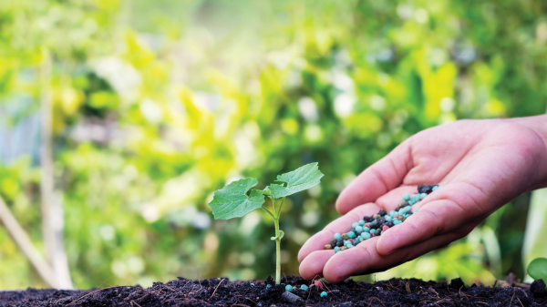 Xanh hóa sản xuất hóa chất và phân bón: Chờ những cú hích từ chính sách