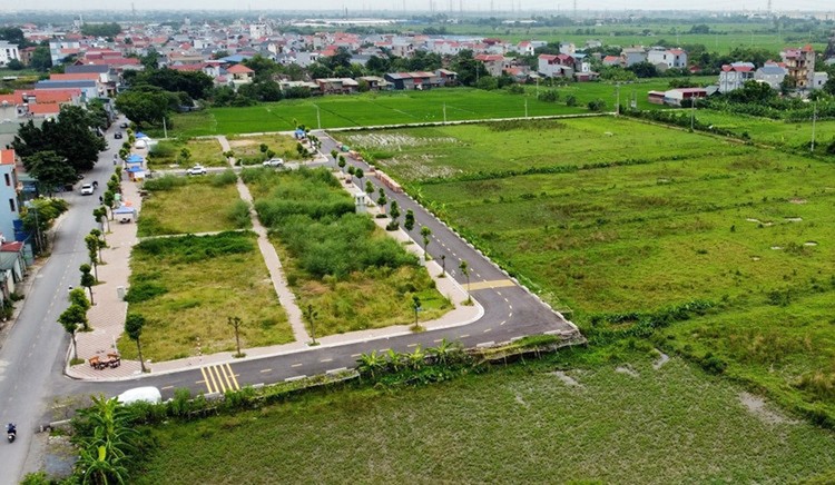 Ảnh minh họa.